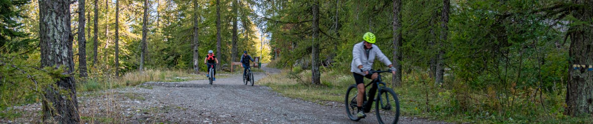 VTT1