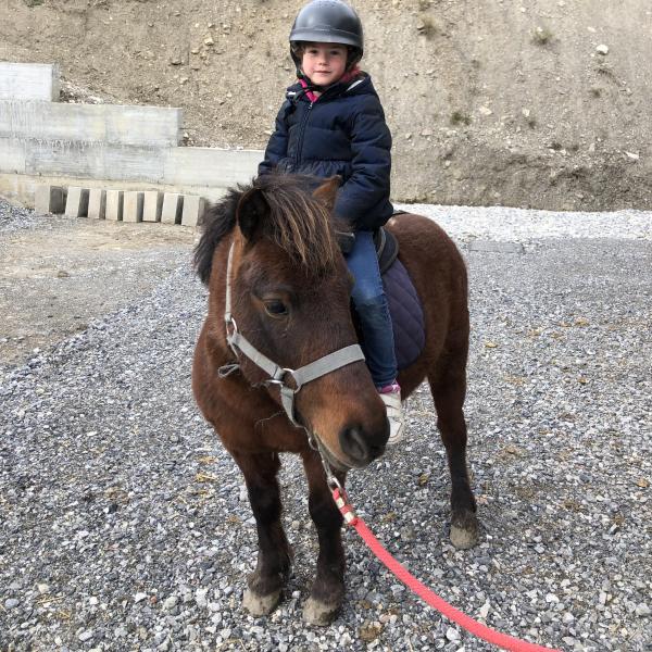 Poney2
