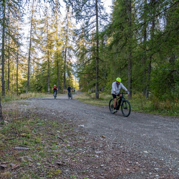 VTT1